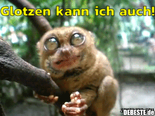 Glotzen kann ich auch! - Lustige Bilder | DEBESTE.de