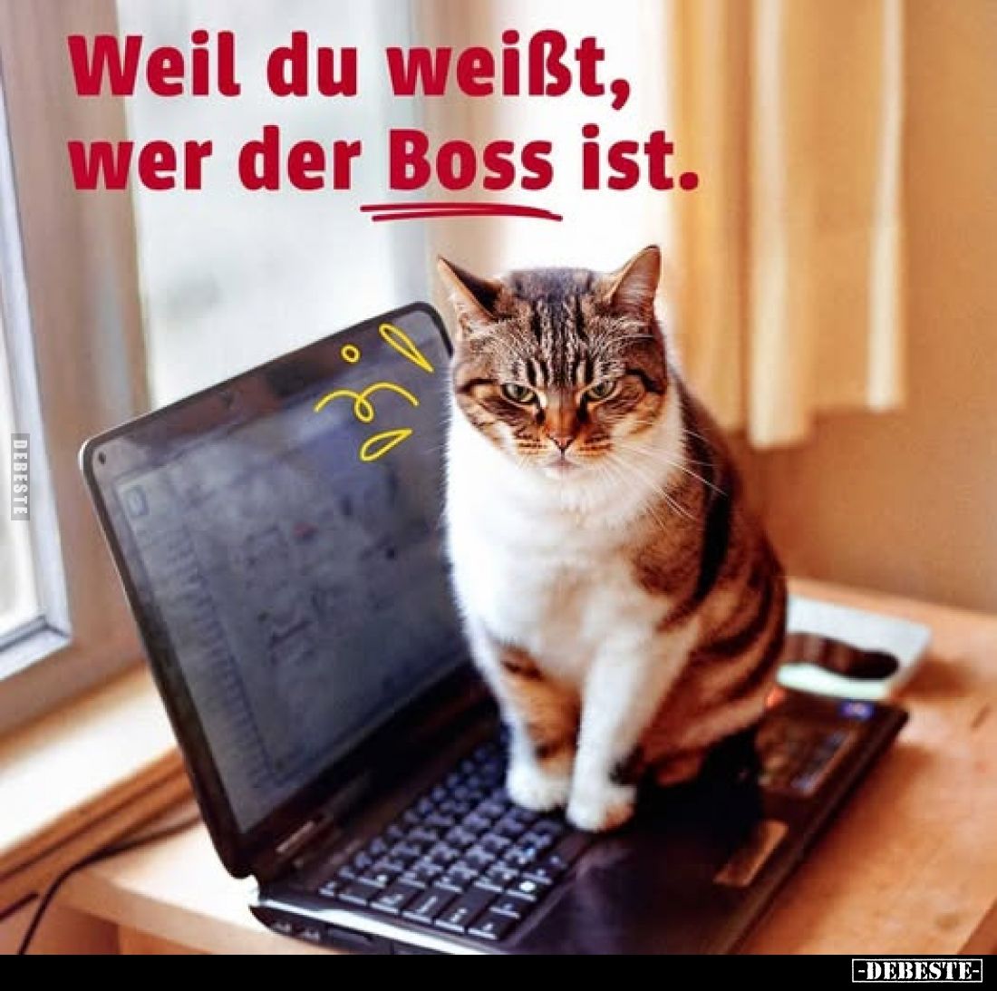 Weil du weißt, wer der Boss ist.