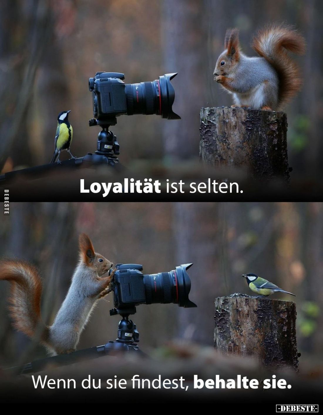 Loyalität ist selten. 
Wenn du sie findest, behalte sie.