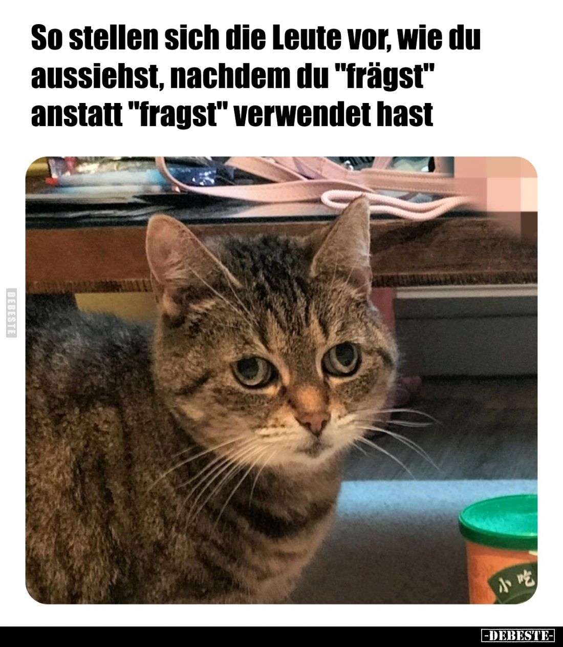 So stellen sich die Leute vor, wie du aussiehst, nachdem du "frägst" anstatt "fragst" verwendet hast