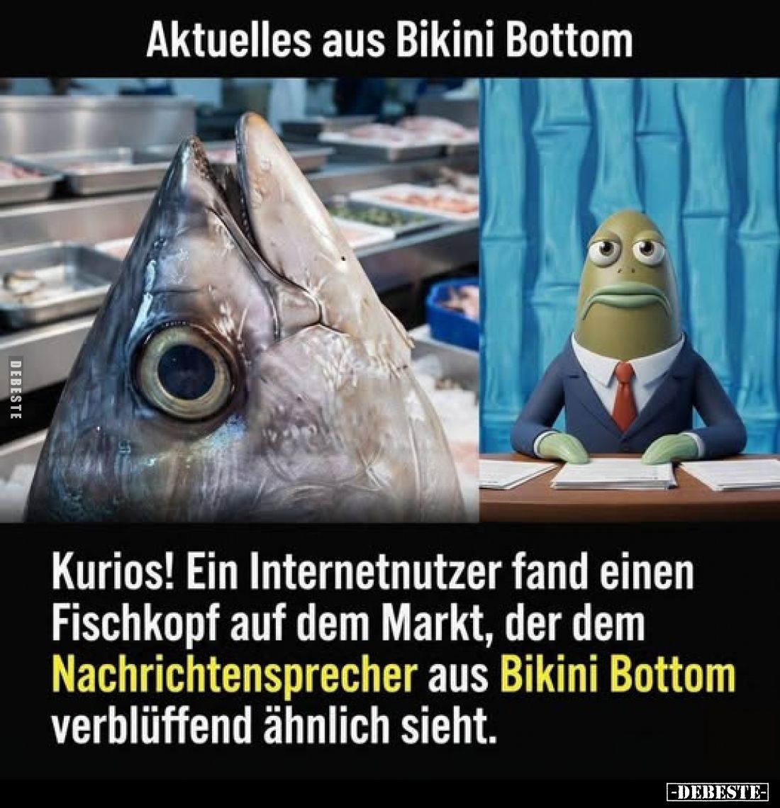 Aktuelles aus Bikini Bottom.. - Lustige Bilder | DEBESTE.de
