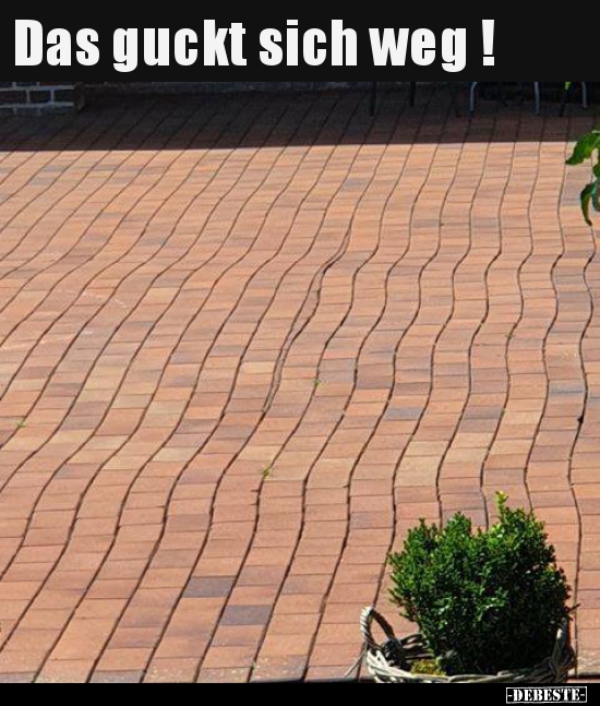 Das guckt sich weg !..
