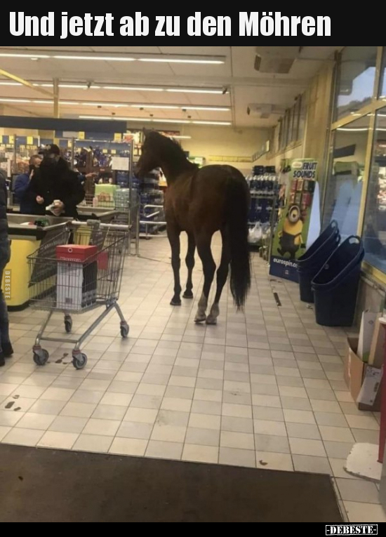 Und jetzt ab zu den Möhren..