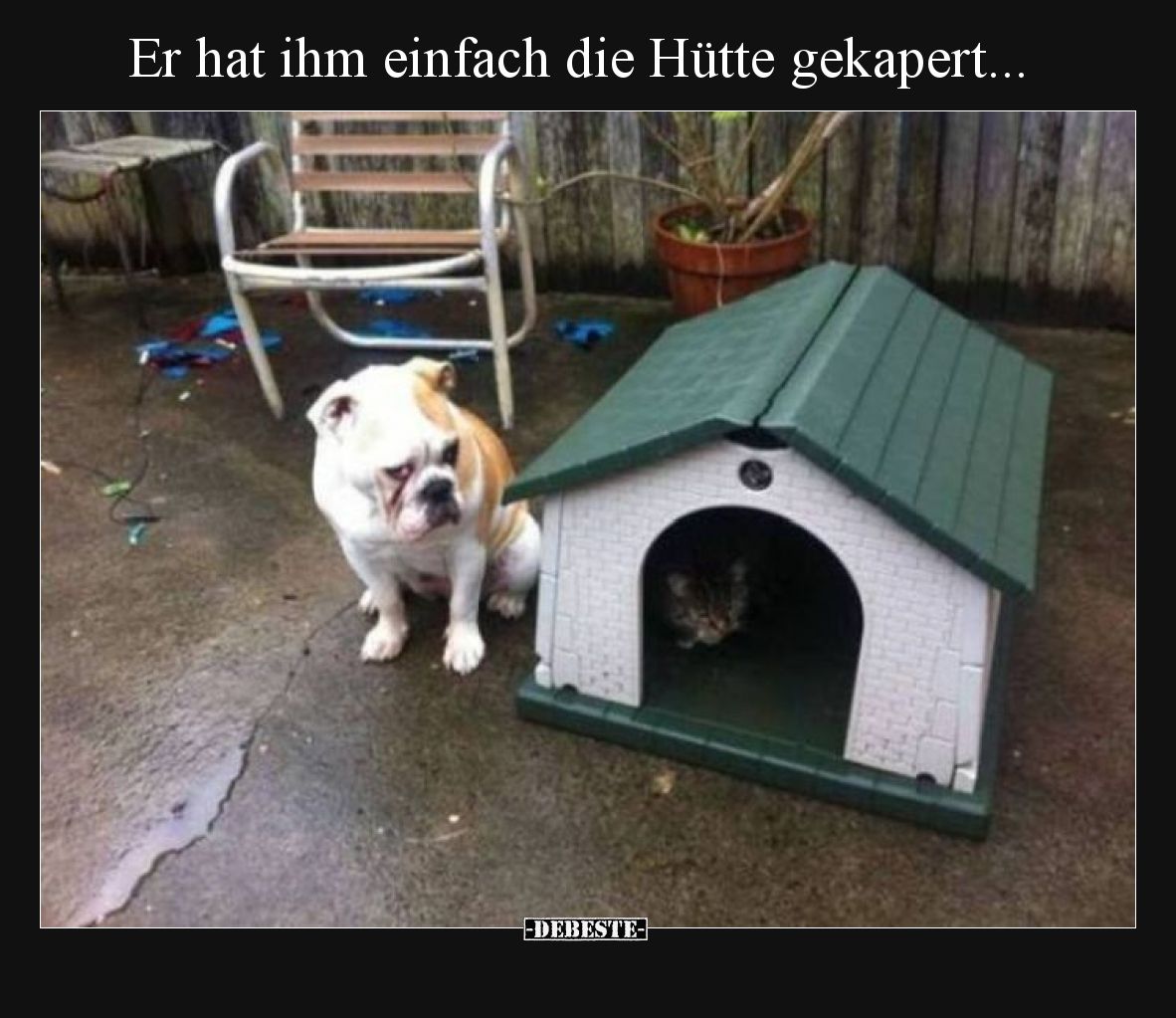 Er hat ihm einfach die Hütte gekapert...