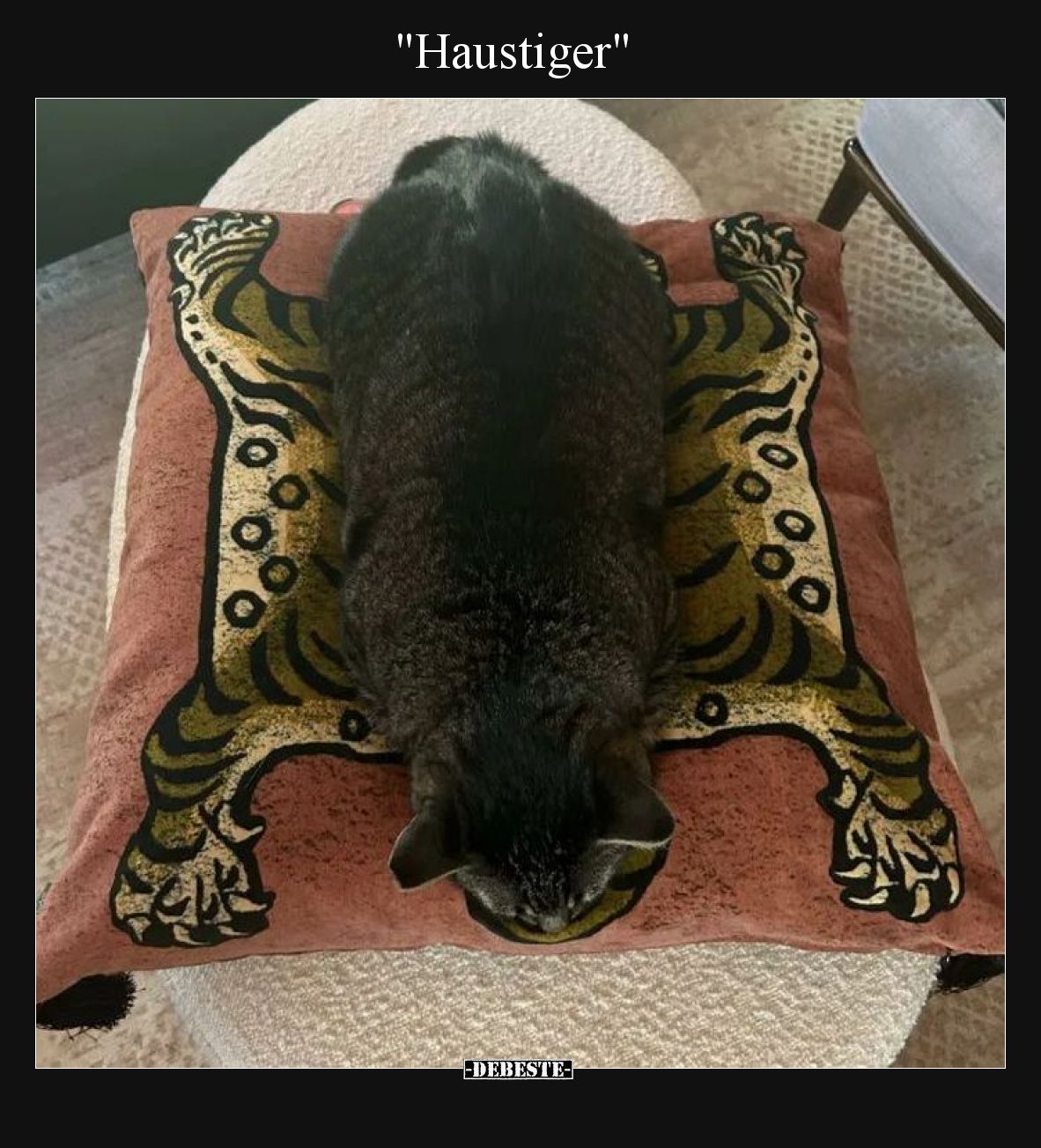 Haustiger