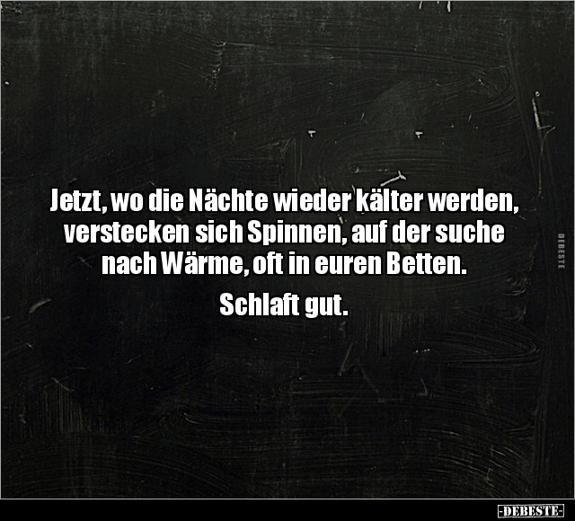 Jetzt, wo die Nächte wieder kälter werden, verstecken sich.. - Lustige Bilder | DEBESTE.de