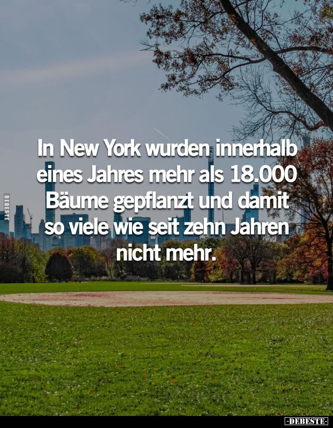 In New York wurden innerhalb eines Jahres mehr als 18.000 Bäume gepflanzt und damit so viele wie seit zehn Jahren nicht mehr.