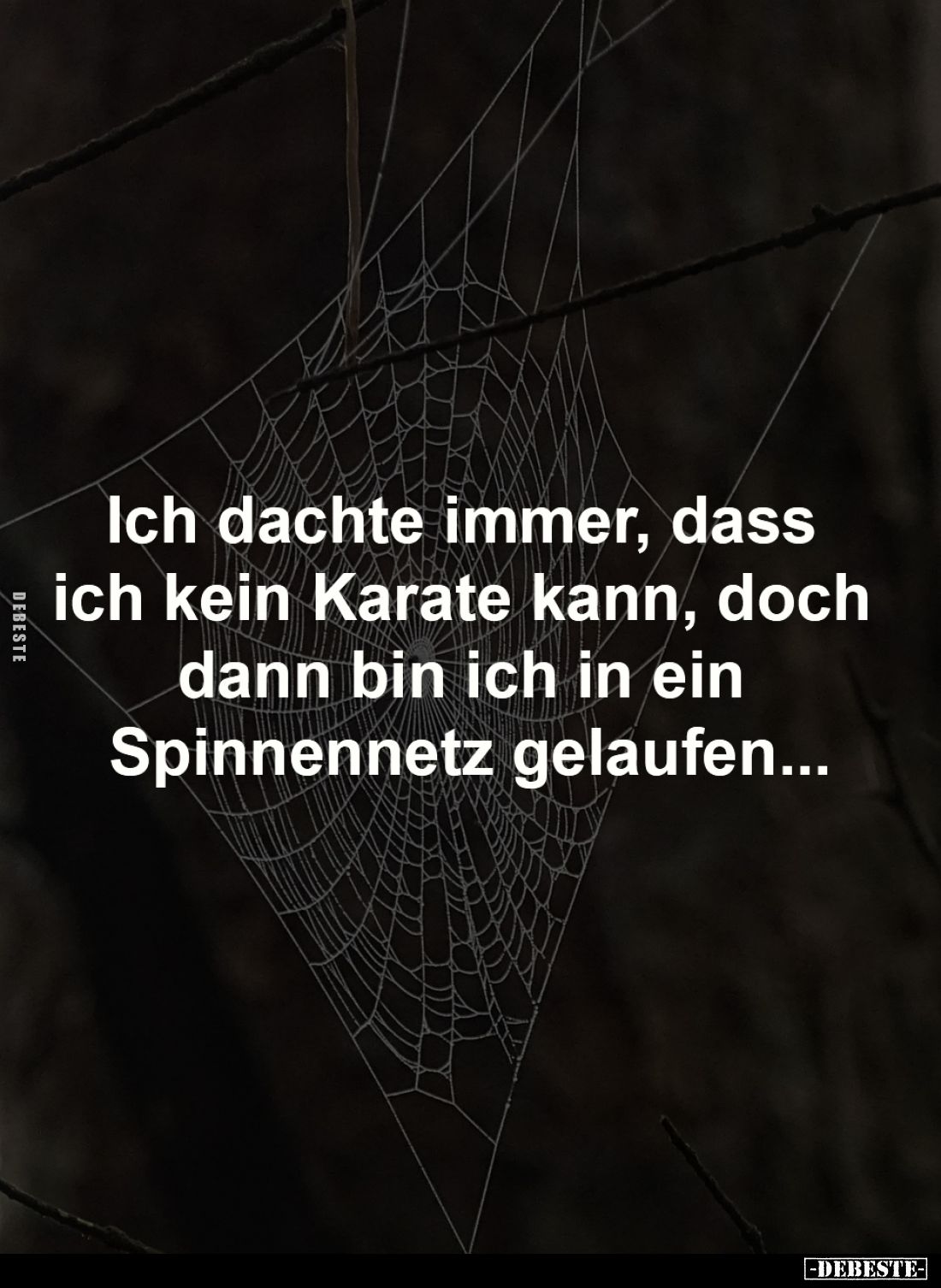 Ich dachte immer, dass ich 
kein Karate kann, doch dann 
bin ich in ein Spinnennetz 
gelaufen...