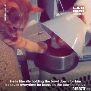 Er schaffte es mit ein wenig Hilfe von einem Freund..