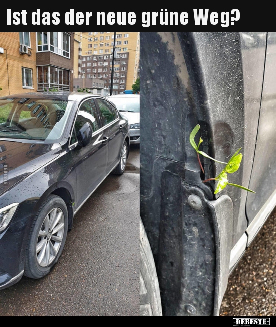 Ist das der neue grüne Weg?..