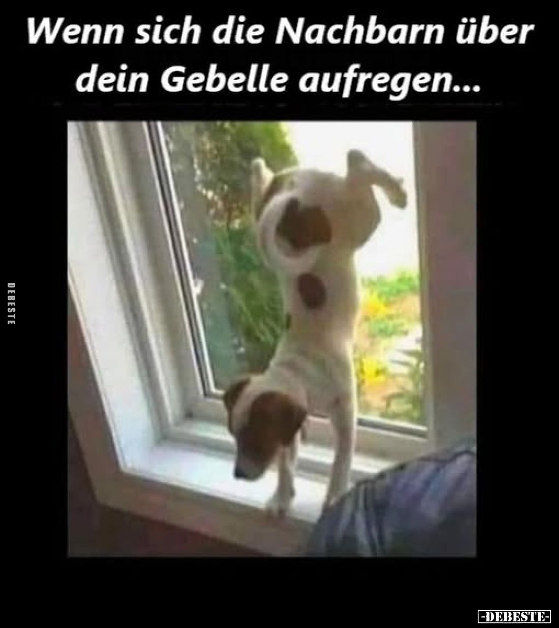 Wenn sich die Nachbarn über dein Gebelle aufregen...