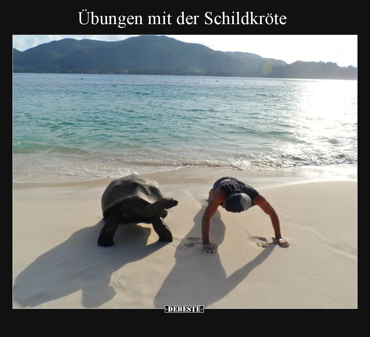 Übungen mit der Schildkröte