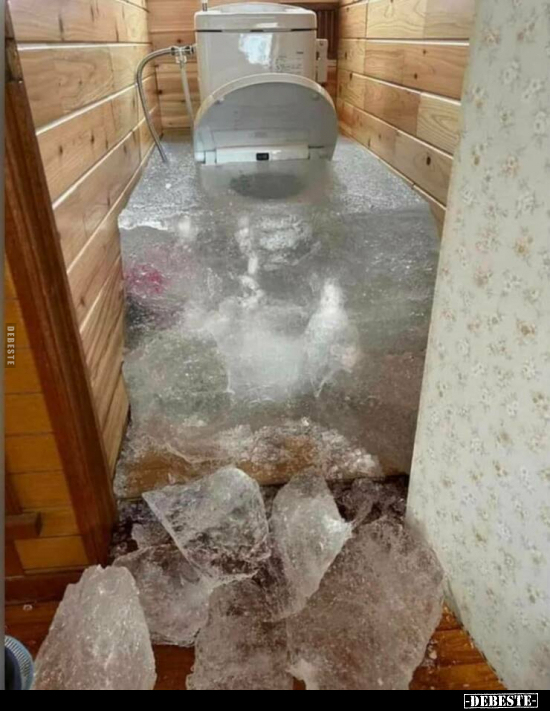  - Lustige Bilder | DEBESTE.de