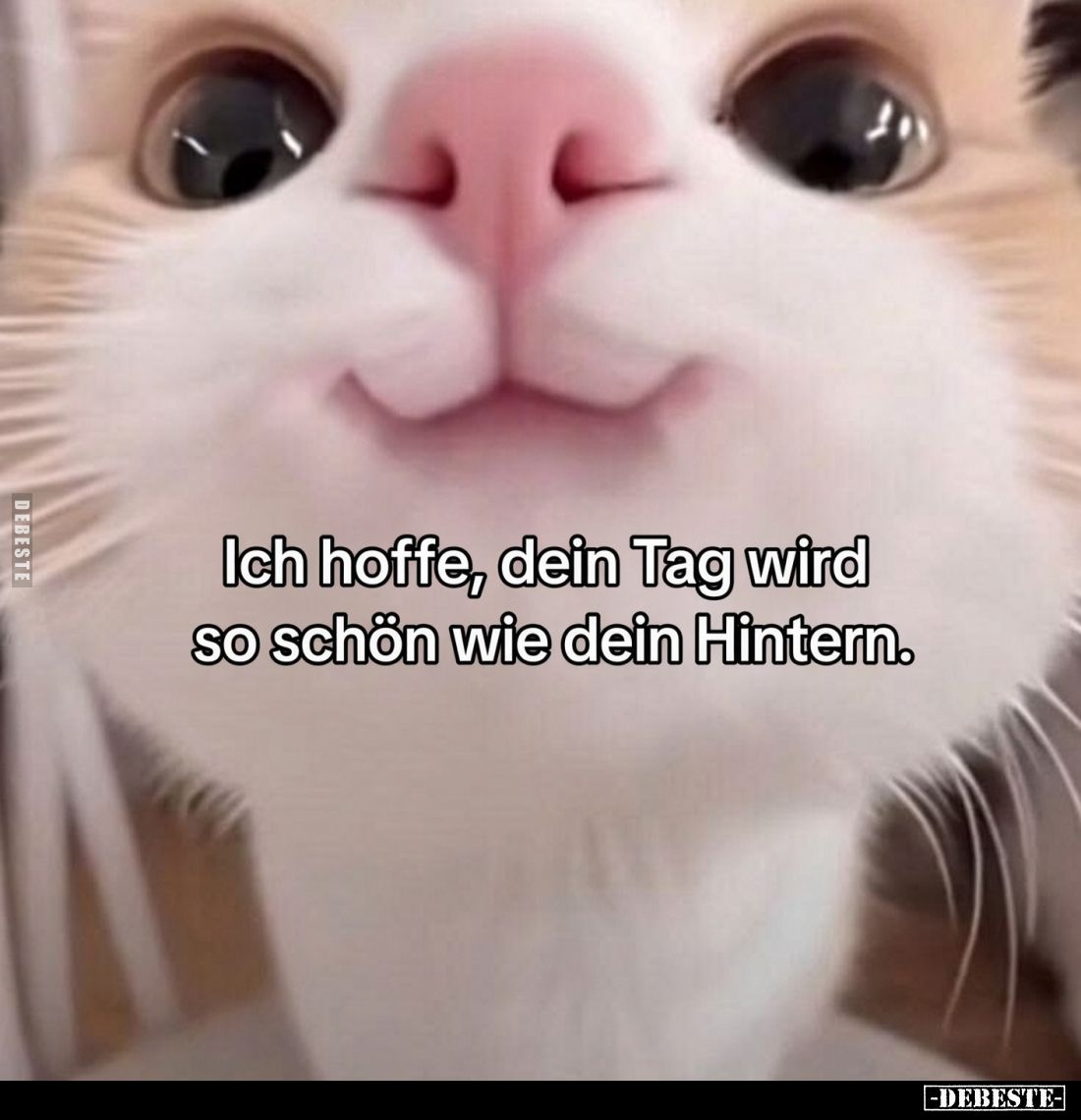 Ich hoffe, dein Tag wird so schön wie dein Hintern.