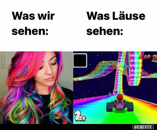 Was wir sehen: / Was Läuse sehen.. - Lustige Bilder | DEBESTE.de