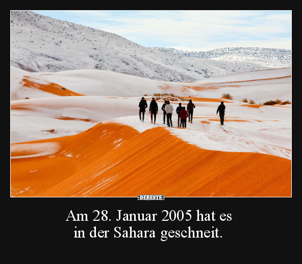 Am 28. Januar 2005 hat es in der Sahara geschneit... - Lustige Bilder | DEBESTE.de