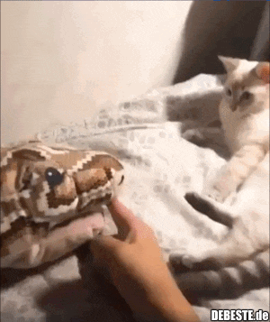 Bleib erst mal weg..