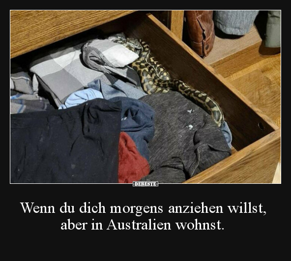 Wenn du dich morgens anziehen willst, aber in Australien.. - Lustige Bilder | DEBESTE.de