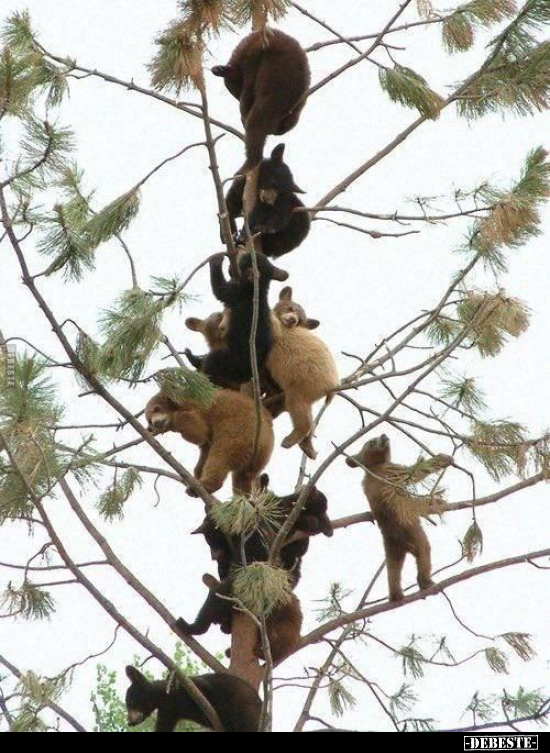  - Lustige Bilder | DEBESTE.de