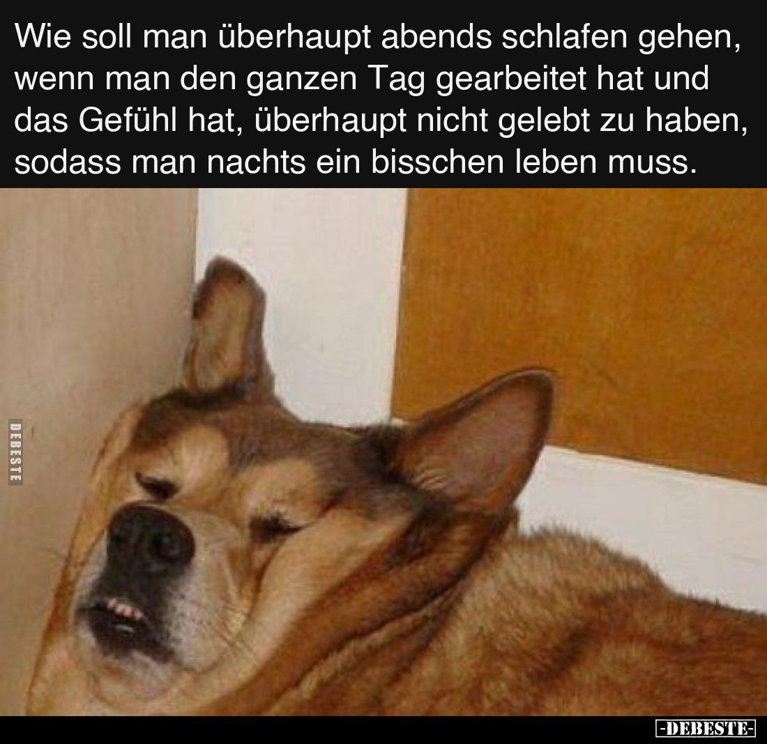 Wie soll man überhaupt abends schlafen gehen, wenn man den ganzen Tag gearbeitet hat und das Gefühl hat, überhaupt nicht gele...