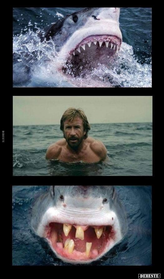  - Lustige Bilder | DEBESTE.de