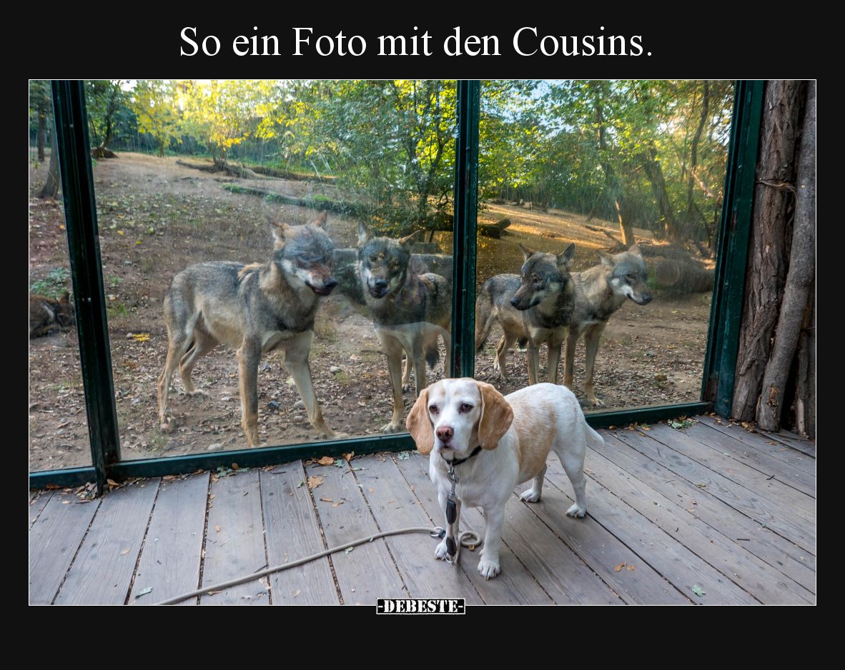 So ein Foto mit den Cousins... - Lustige Bilder | DEBESTE.de
