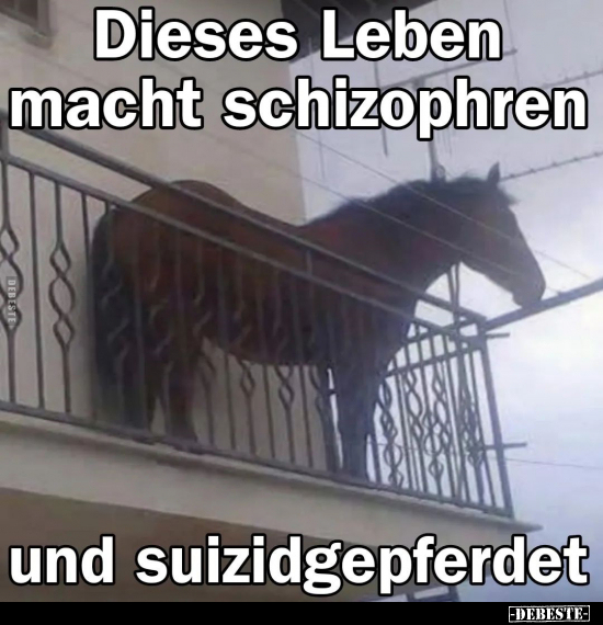 Dieses Leben macht schizophren und suizidgepferdet... - Lustige Bilder | DEBESTE.de