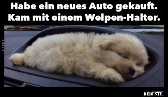 Habe ein neues Auto gekauft. Kam mit einem Welpen-Halter. - Lustige Bilder | DEBESTE.de