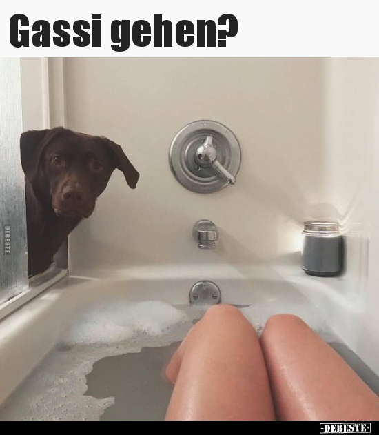 Gassi gehen?.. - Lustige Bilder | DEBESTE.de