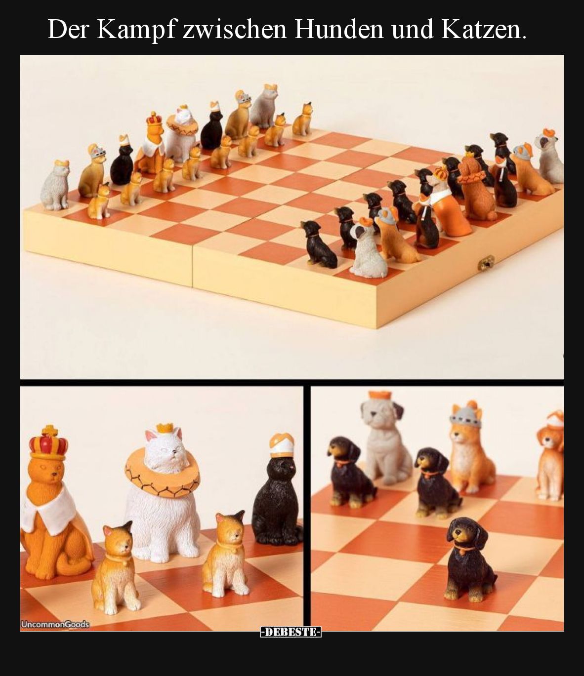 Der Kampf zwischen Hunden und Katzen.