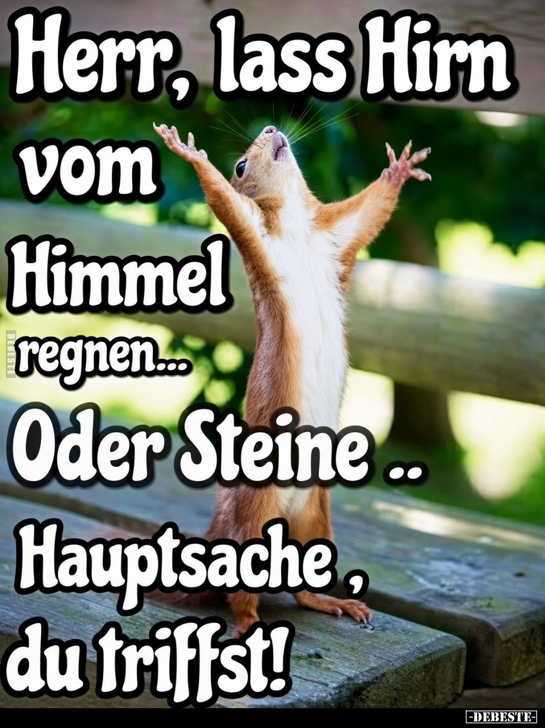 Herr, lass Hirn vom Himmel regnen... - Lustige Bilder | DEBESTE.de