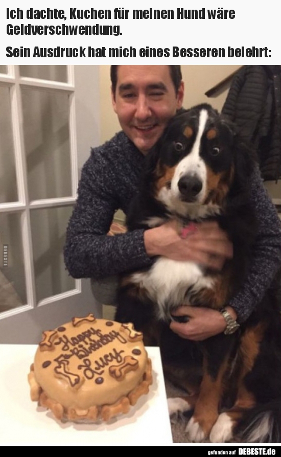 Ich dachte, Kuchen für meinen Hund wäre..