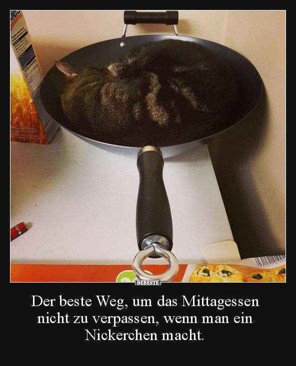 Der beste Weg, um das Mittagessen nicht zu verpassen.. - Lustige Bilder | DEBESTE.de