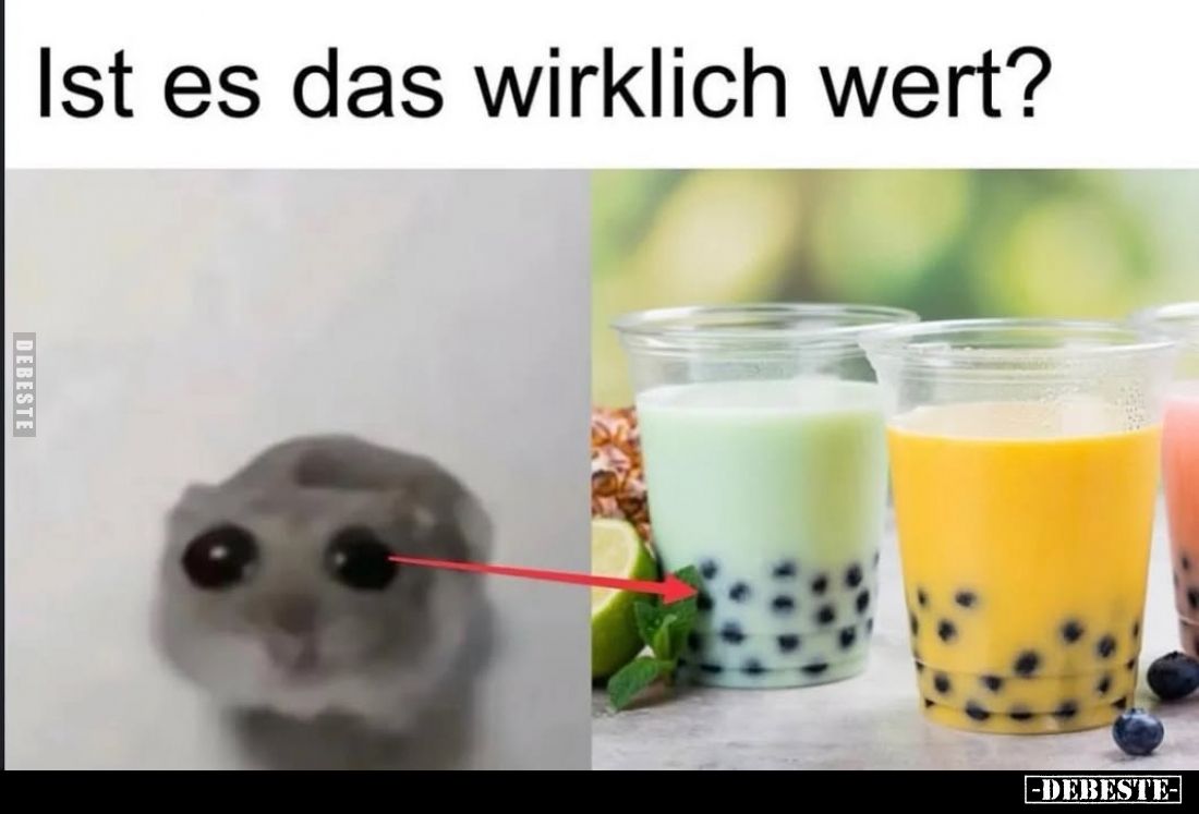 Ist es das wirklich wert?