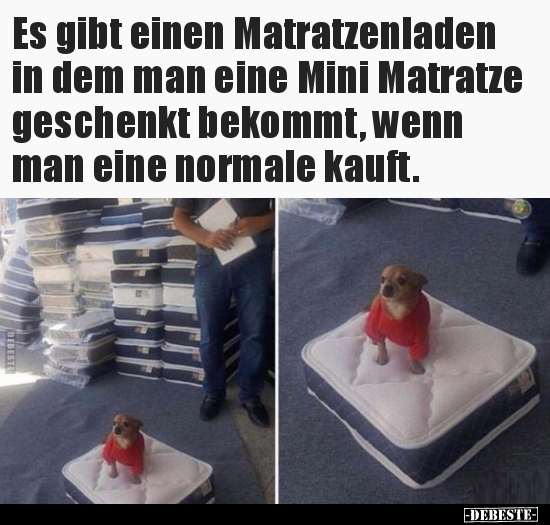 Es gibt einen Matratzenladen in dem man eine Mini Matratze.. - Lustige Bilder | DEBESTE.de