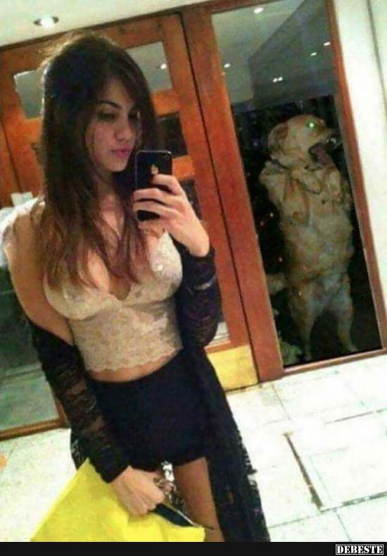 Der Blick vom Hund..