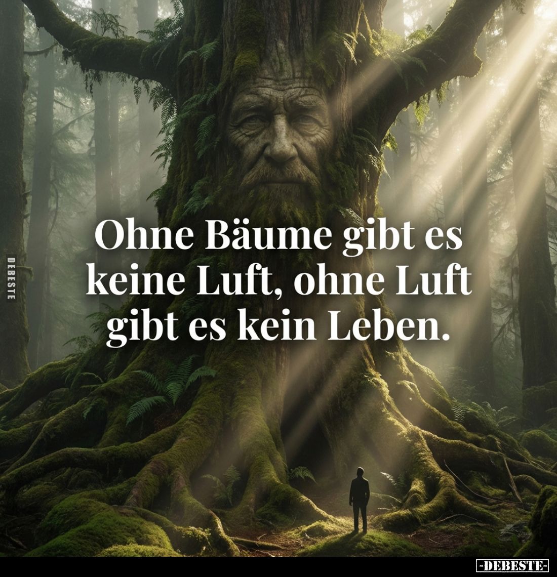Ohne Bäume gibt es keine Luft, ohne Luft gibt es kein Leben.