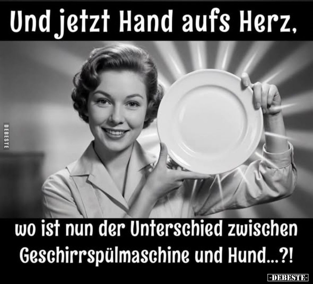 Und jetzt Hand aufs Herz, wo ist nun der Unterschied zwischen Geschirrspülmaschine und Hund...?!