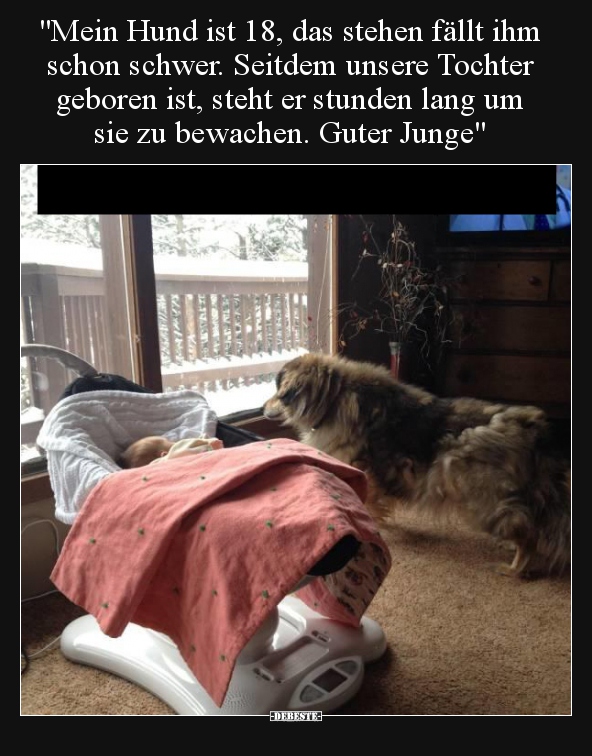 "Mein Hund ist 18, das stehen fällt ihm schon schwer..."