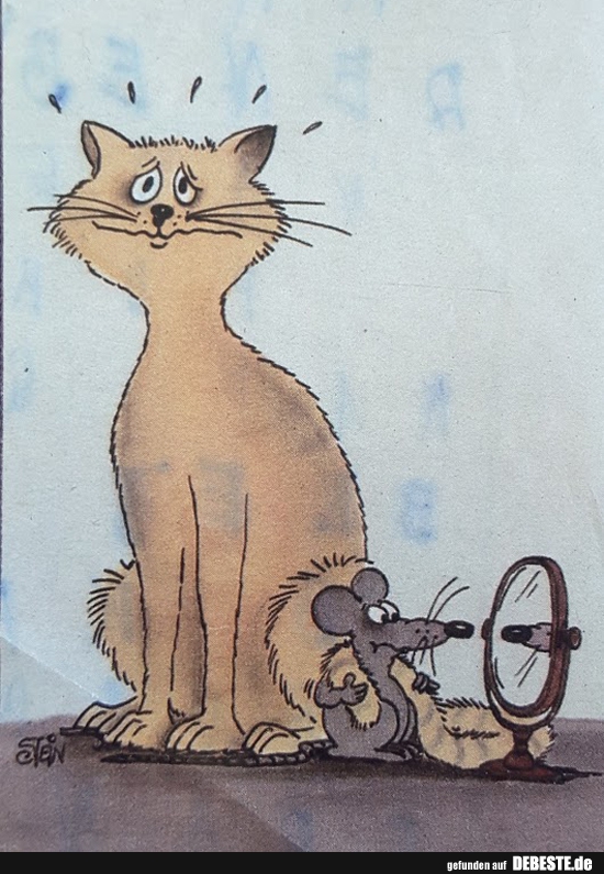  - Lustige Bilder | DEBESTE.de