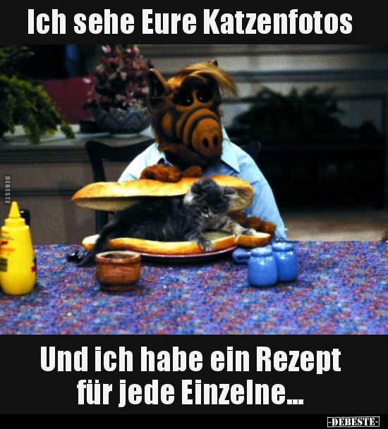 Ich sehe Eure Katzenfotos.. - Lustige Bilder | DEBESTE.de