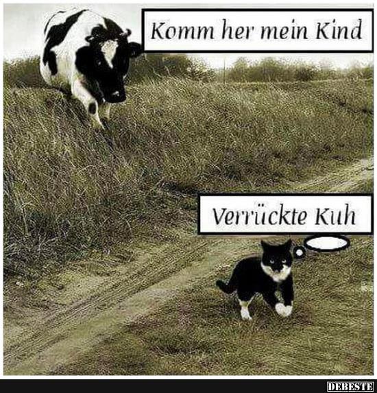 Komm her mein Kind..