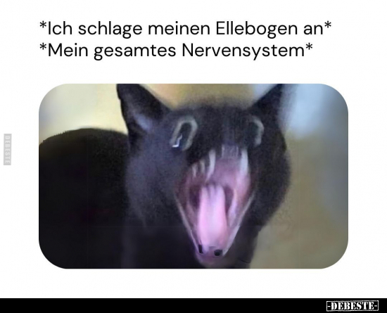 *Ich schlage meinen Ellebogen an*.. - Lustige Bilder | DEBESTE.de