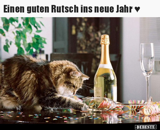 Einen guten Rutsch ins neue Jahr.. - Lustige Bilder | DEBESTE.de