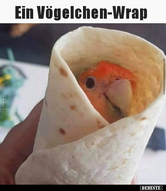 Ein Vögelchen-Wrap.. - Lustige Bilder | DEBESTE.de