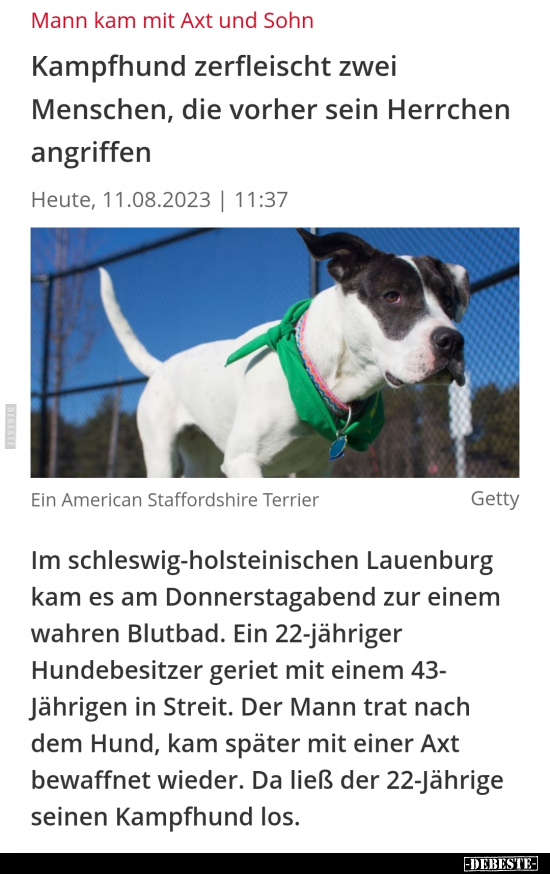 Kampfhund zerfleischt zwei Menschen, die vorher sein.. - Lustige Bilder | DEBESTE.de