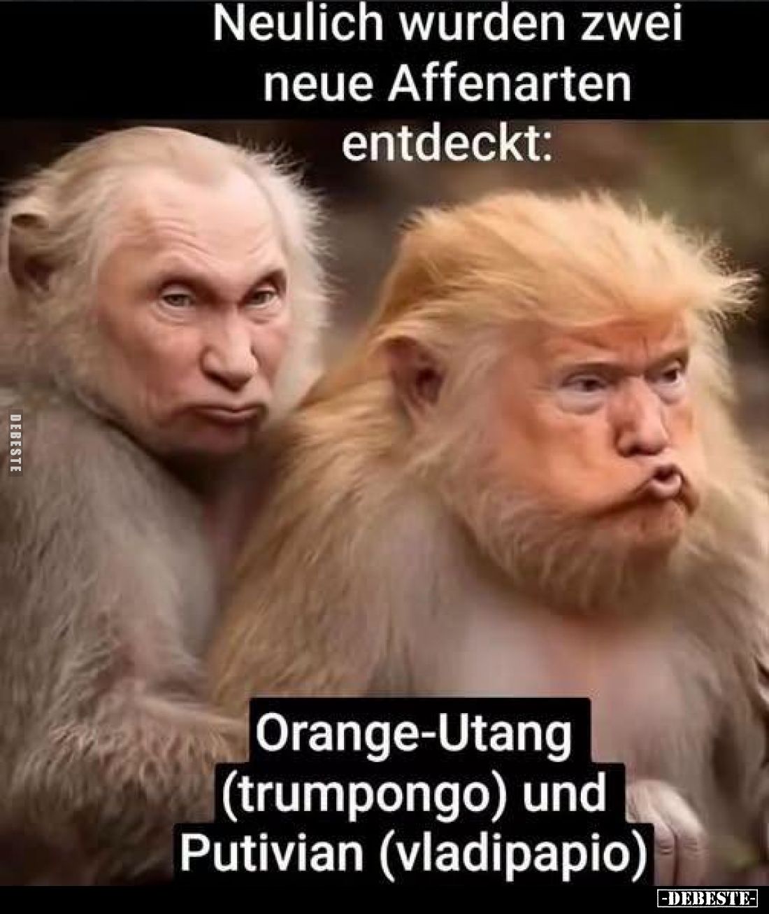Neulich wurden zwei neue Affenarten entdeckt:

Orange-Utang (trumpongo) und Putivian (vladipapio)