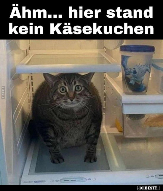 Ähm... hier stand kein Käsekuchen... - Lustige Bilder | DEBESTE.de