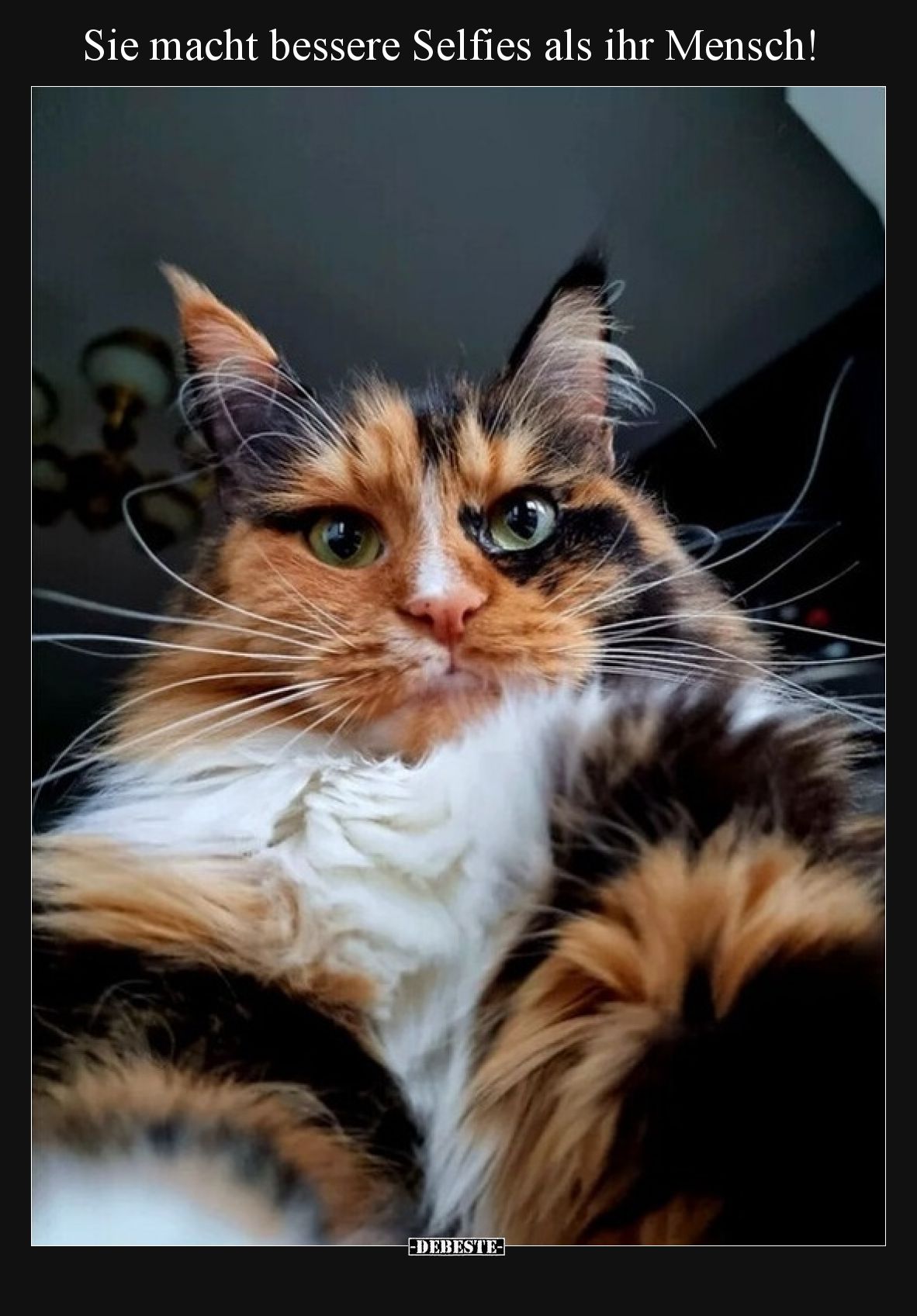 Sie macht bessere Selfies als ihr Mensch!