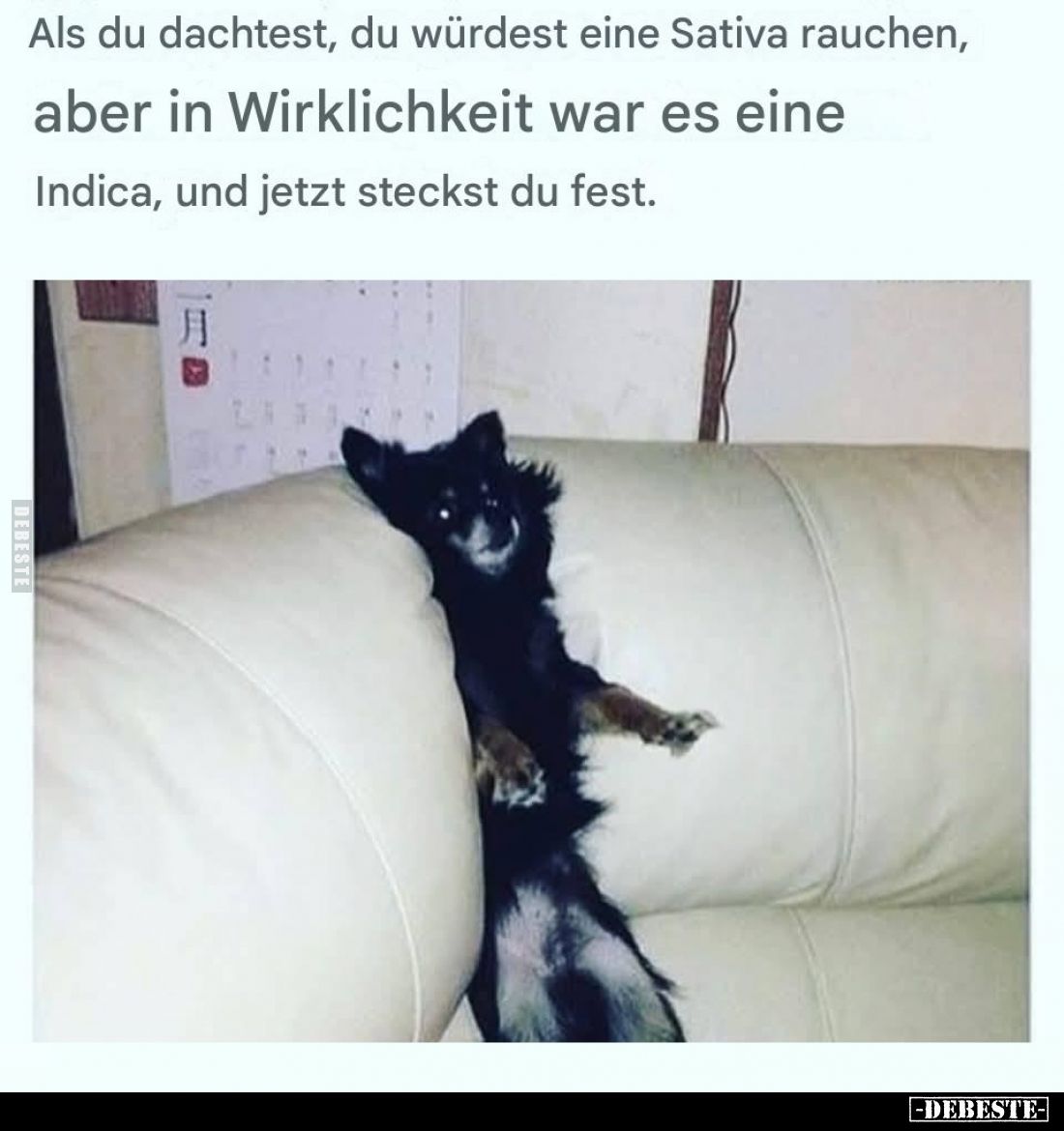 Als du dachtest, du würdest eine Sativa rauchen,
aber in Wirklichkeit war es eine Indica, und jetzt steckst du fest.